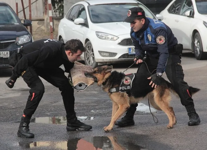 Suçluların Korkulu Rüyası Leon