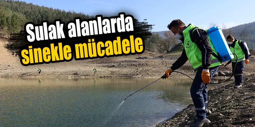 Sulak alanlarda sinekle mücadele
