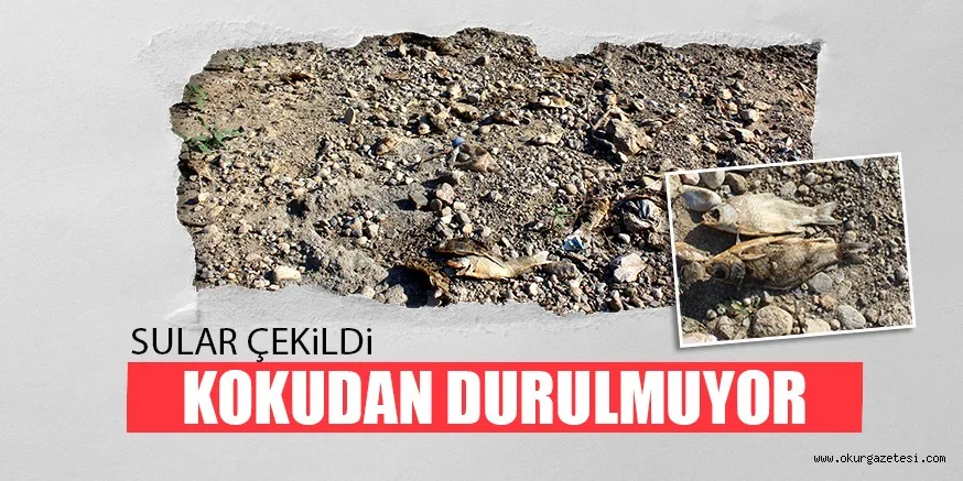 SULAR ÇEKiLDi KOKUDAN DURULMUYOR