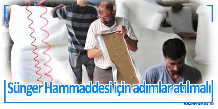 Sünger hammaddesi için adımlar atılmalı