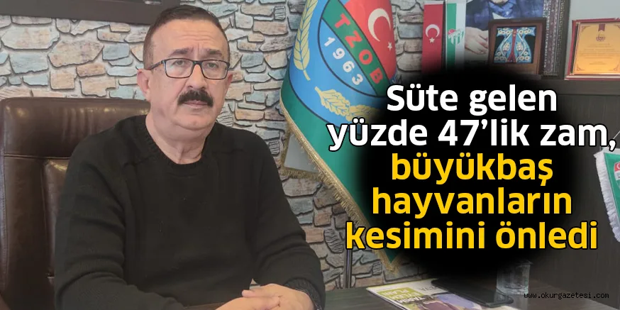 Süte gelen yüzde 47’lik zam, büyükbaş hayvanların kesimini önledi