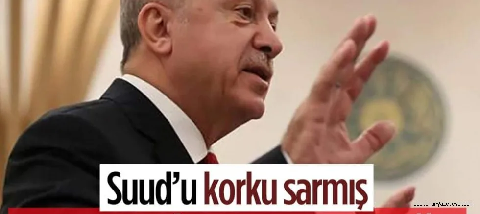 Suudi Arabistan basını, Türkiye'nin artan gücünden rahatsız oldu