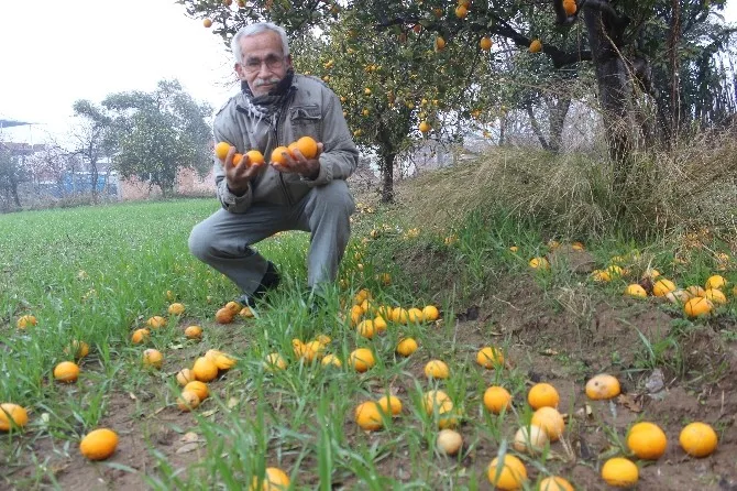 Tarlada Bedava Markette Ateş Pahası