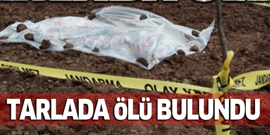 TARLADA öLü BULUNDU