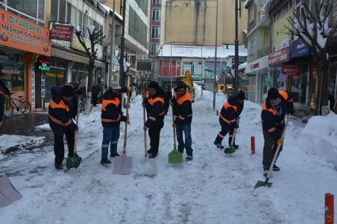 Tatvanda Karla Mücadele Çalışması