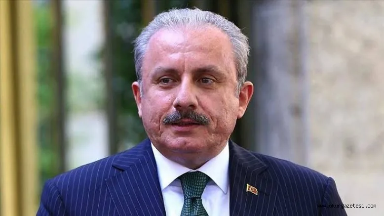 TBMM Başkanı Şentop Ermenistan'ın ambargo söylemini değerlendirdi: Fıkra olarak anlatılacak bir şeydir
