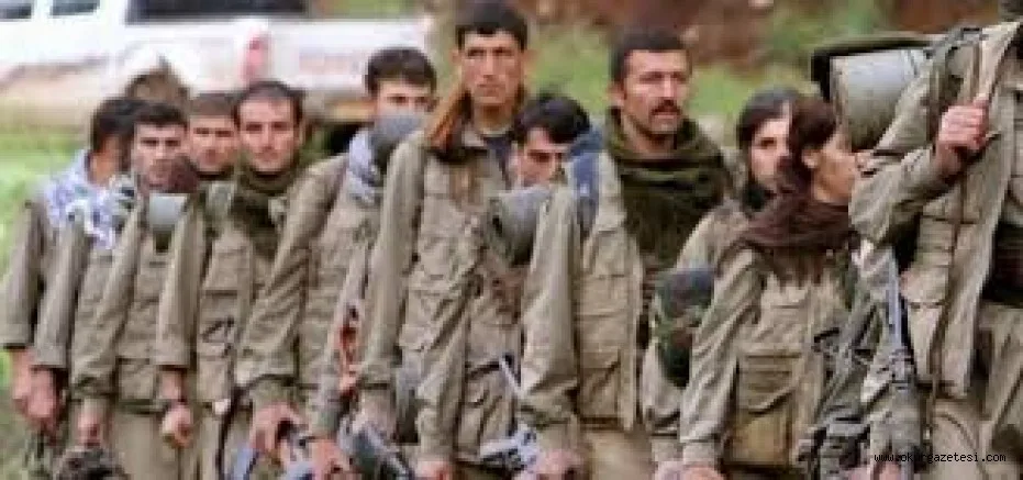 TERöR öRGüTü PKK’YA BiR DARBE DAHA
