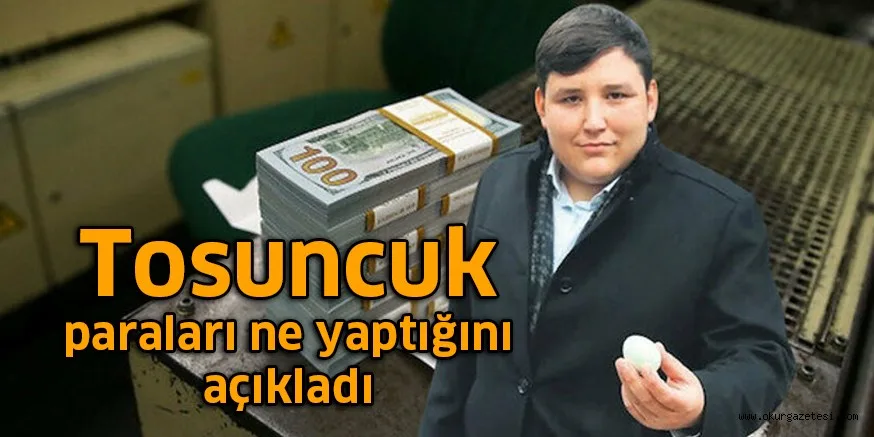 Teslim olan Tosuncuk'un paraları ne yaptığı ortaya çıktı!