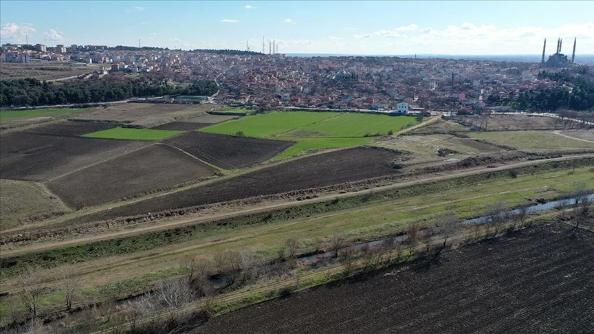 İklim değişikliği ve kuraklık bitkilerin hücre yapılarında bozulmaya neden oluyor