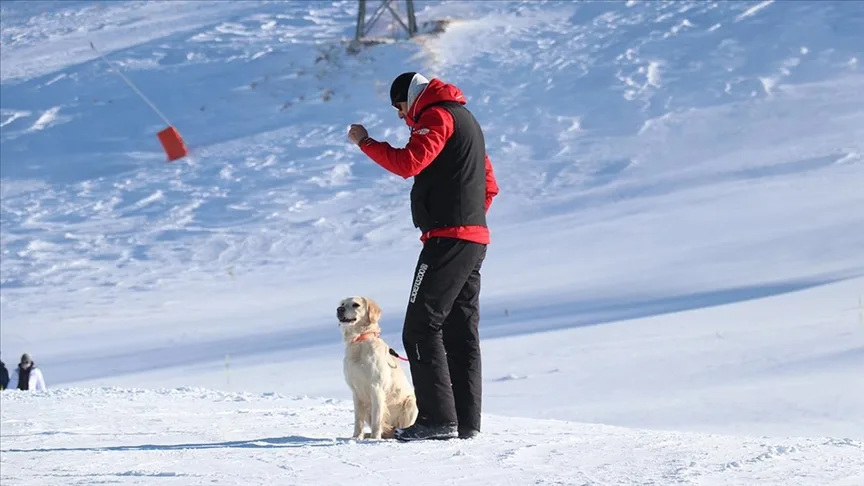 Barınaktan sahiplenilen Hera, kayak merkezinin arama kurtarma köpeği oldu