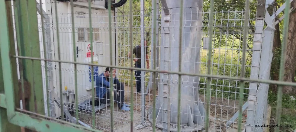 Trafoya kedini astı
