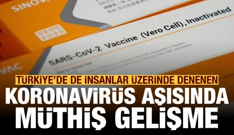 Türkiye'de de insanlar üzerinde denenen koronavirüs aşısında müthiş gelişme