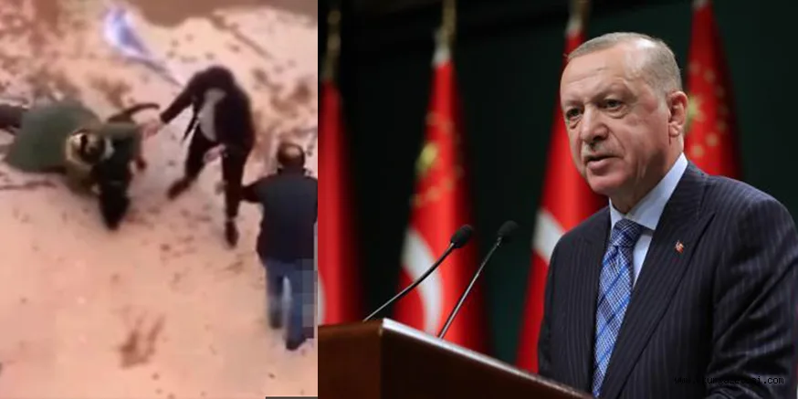 Türkiye'yi ayağa kaldıran görüntülere Cumhurbaşkanı Erdoğan da kayıtsız kalamadı: Sahipsiz hayvanların yeri barınaktır