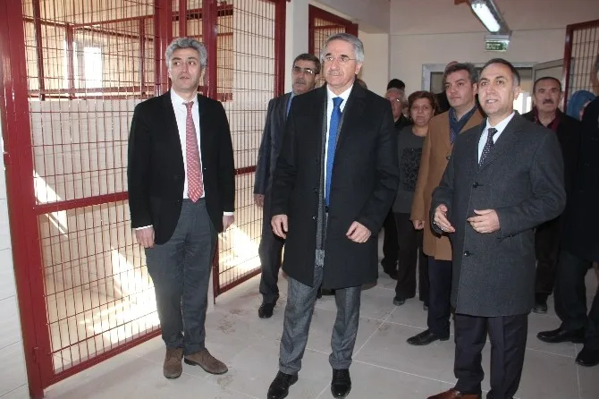 Türkiyenin En Büyük Hayvan Hastanesi Ve Oteli Tamamlandı