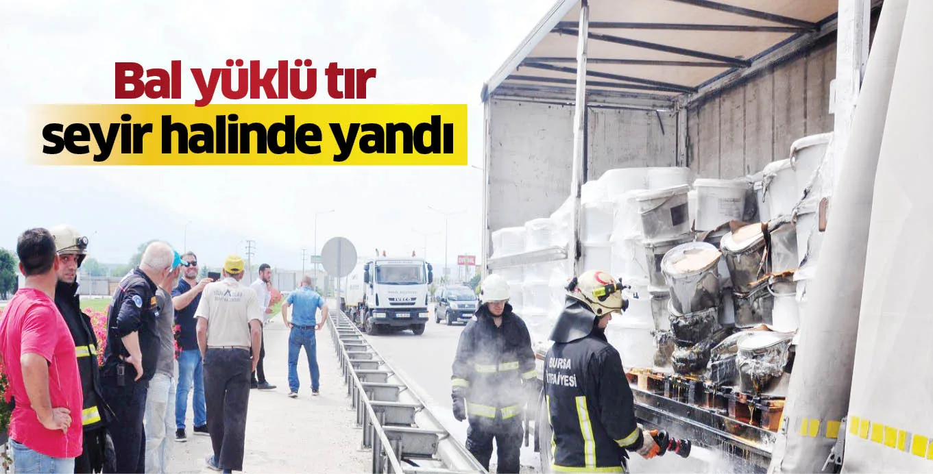 Bal yüklü tır seyir halinde yandı
