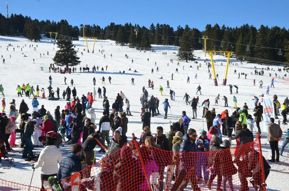 Uludağda Sömestr Canlılığı