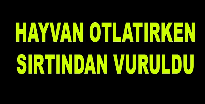 HAYVAN OTLATIRKEN SIRTINDAN VURULDU