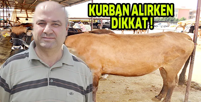 KURBAN ALIRKEN DİKKAT !
