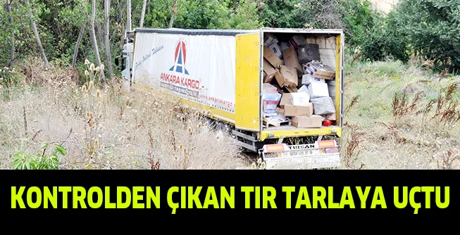 KONTROLDEN ÇIKAN TIR TARLAYA UÇTU