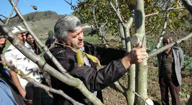Üreticiye Budama Uyarısı