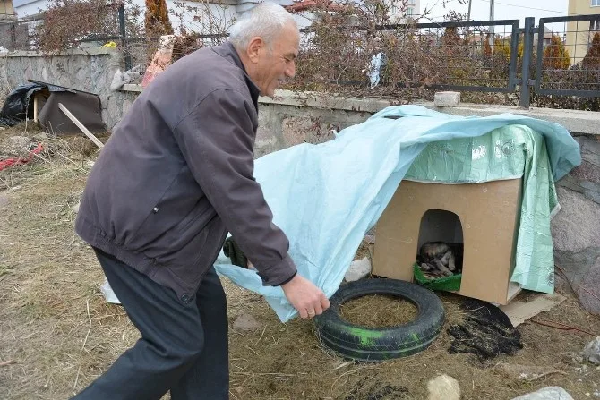 Uşaklı Emekli Öğretmen Yemek Çöpe Gitmesin Çağrısı