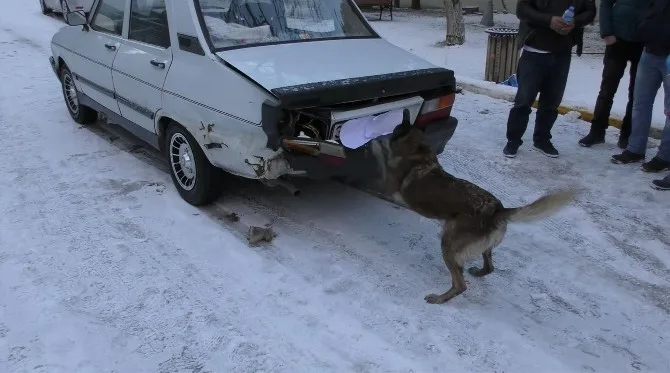 Uşakta 19 Kilo 540 Gram Esrar Yakalandı