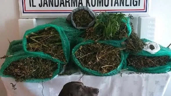Uyuşturucu davasında beraat