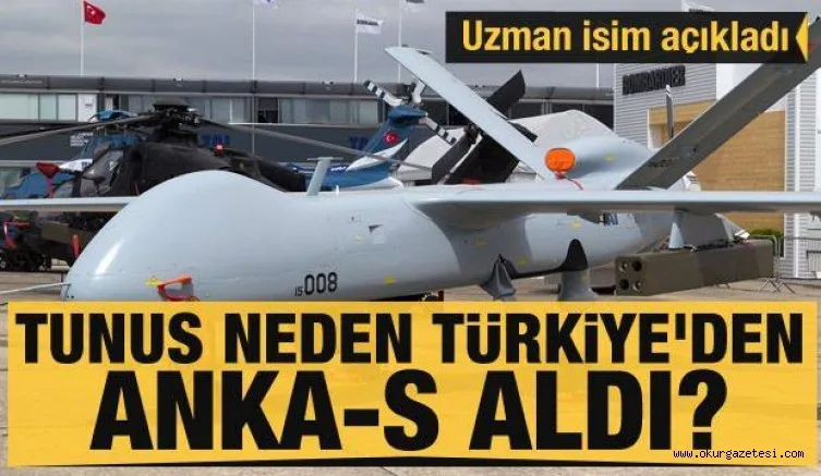 Uzman isim açıkladı: Tunus neden Türkiye'den ANKA-S aldı?