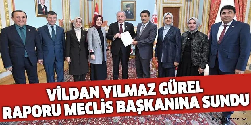 VİLDAN YILMAZ GÜREL RAPORU MECLİS BAŞKANINA SUNDU