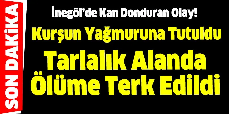 Vurup Tarlalık Alana Attılar