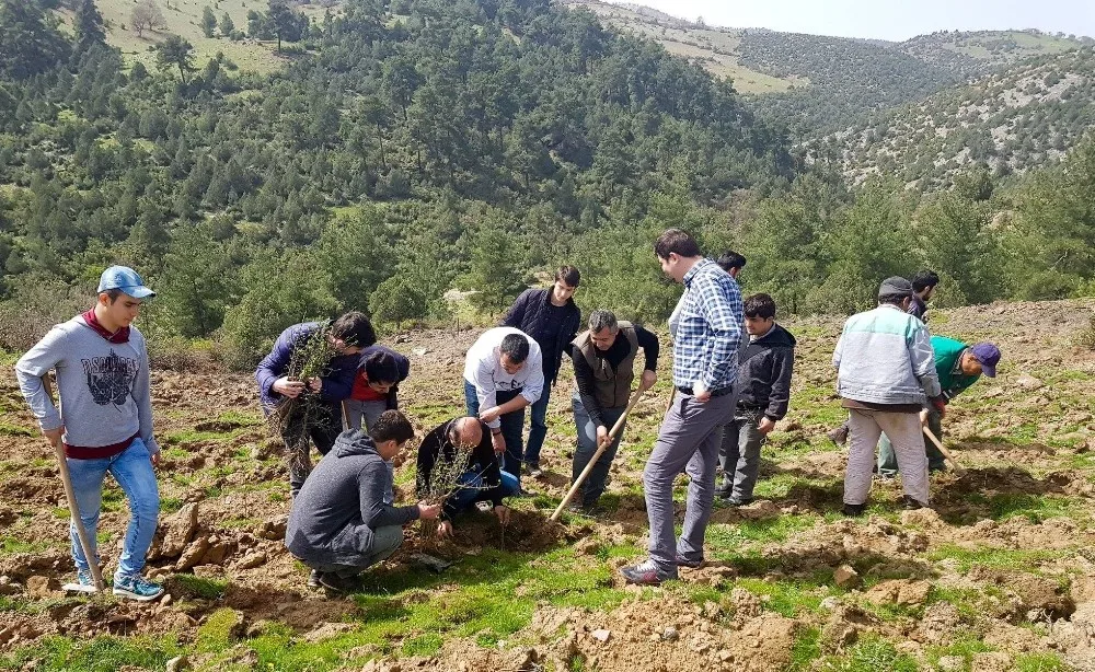 Yaban Hayatına Meyve Fidanları İle Destek