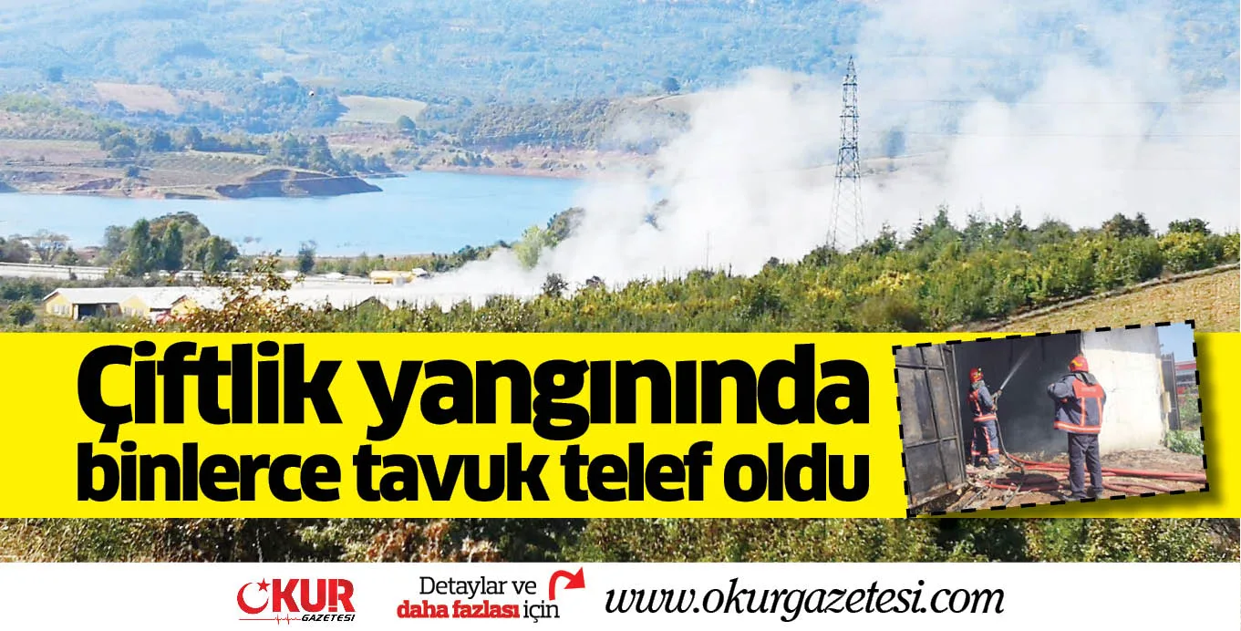 Çiftlik yangınında binlerce tavuk telef oldu