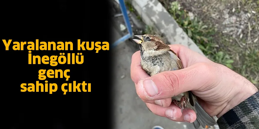 Yaralanan kuşa İnegöllü genç sahip çıktı