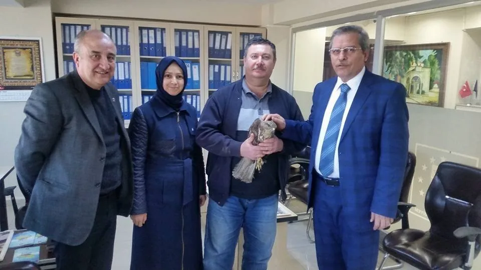 Yaralı Şahine Ak Partili Başkan Sahip Çıktı