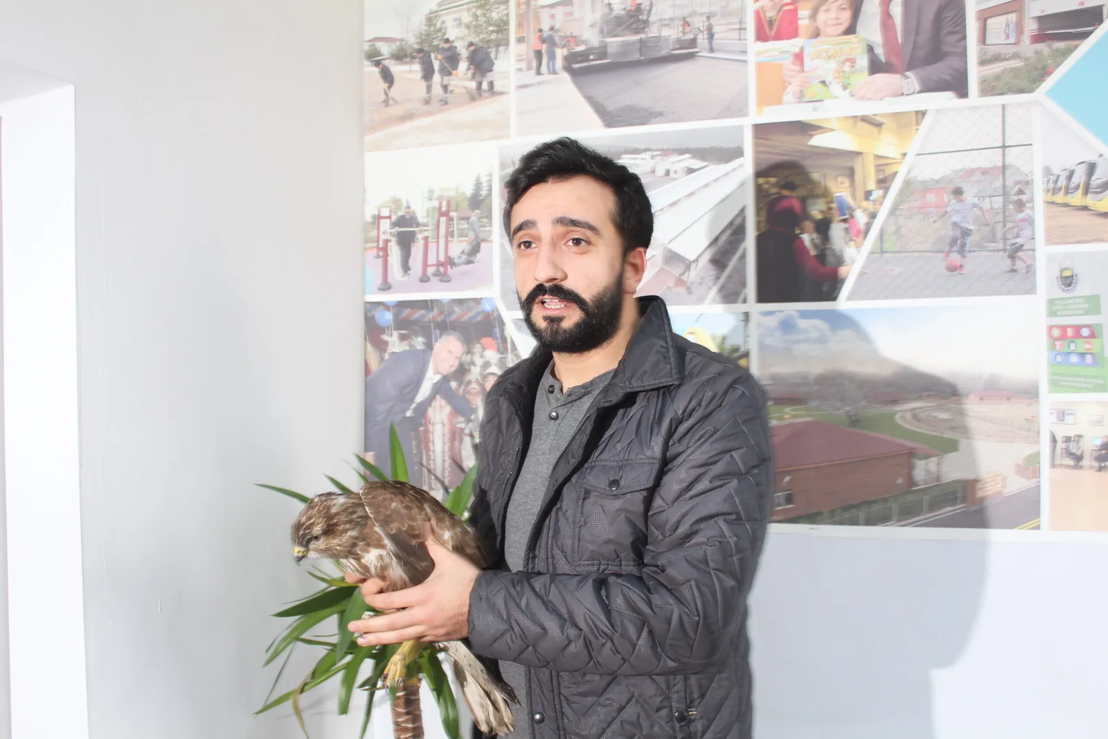 Yaralı şahine belediyesi sahip çıktı