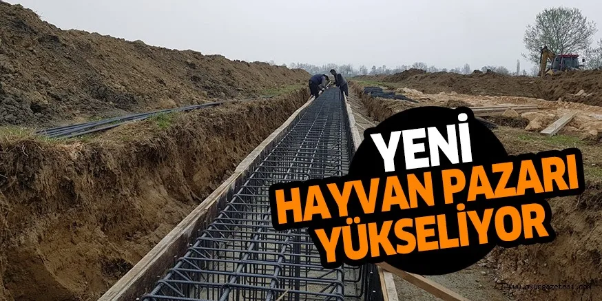 YENİ HAYVAN PAZARI YÜKSELİYOR