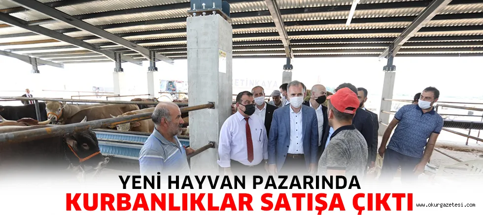 YENİ HAYVAN PAZARINDA KURBANLIKLAR SATIŞA ÇIKTI