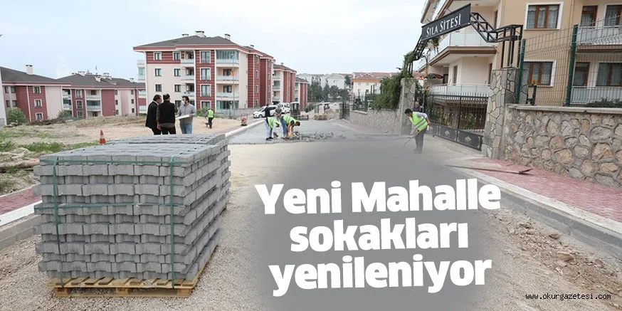 Yeni Mahalle sokakları yenileniyor