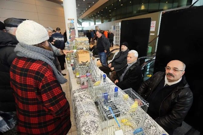 Yenimahallede Kuş Borsasına Yoğun İlgi