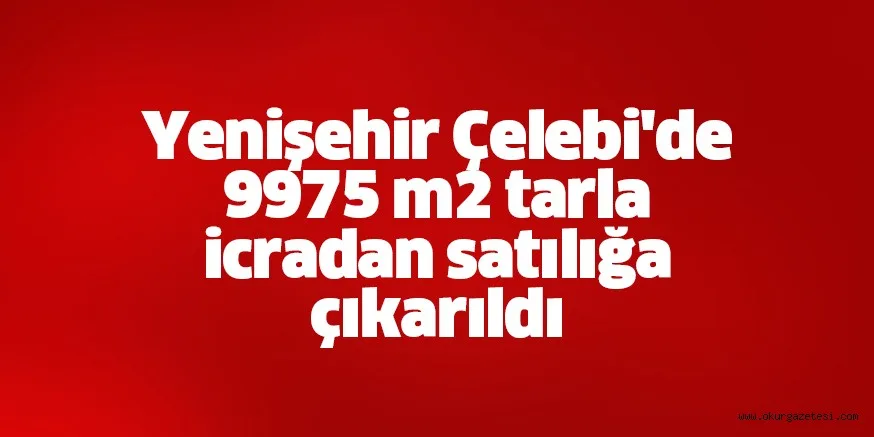 Yenişehir Çelebi'de 9975 m2 tarla icradan satılığa çıkarıldı