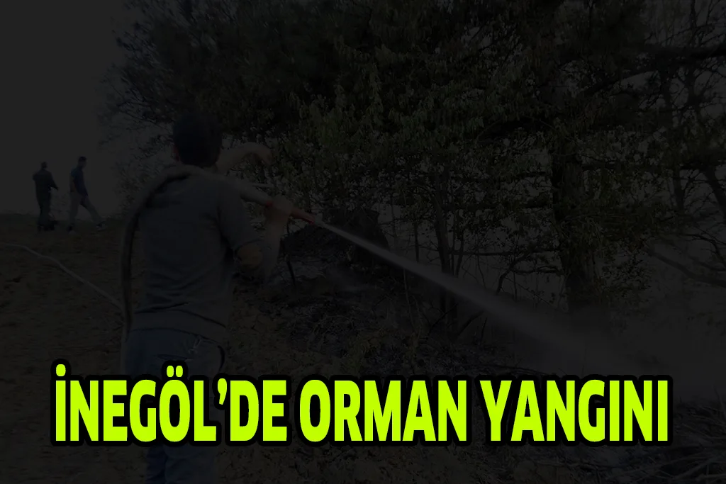 İNEGÖL'DE ORMAN YANGINI