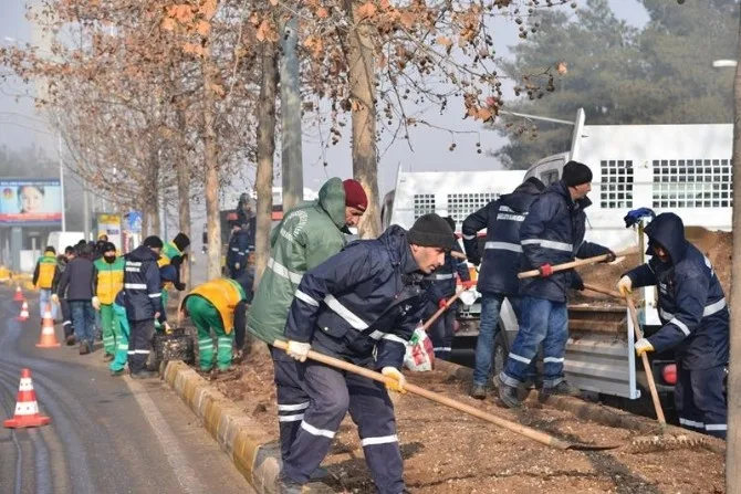 Yeşil Alanlarda 129 Bin Lale Ve 80 Bin Menekşe Açacak