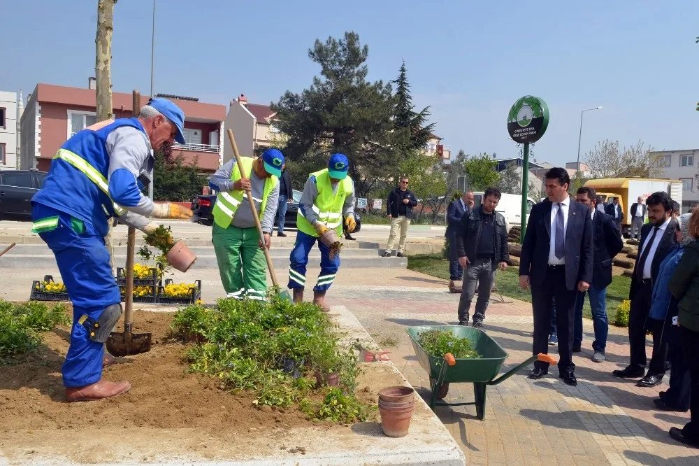 “Yeşil Bursa” Osmangazide Hayat Buluyor