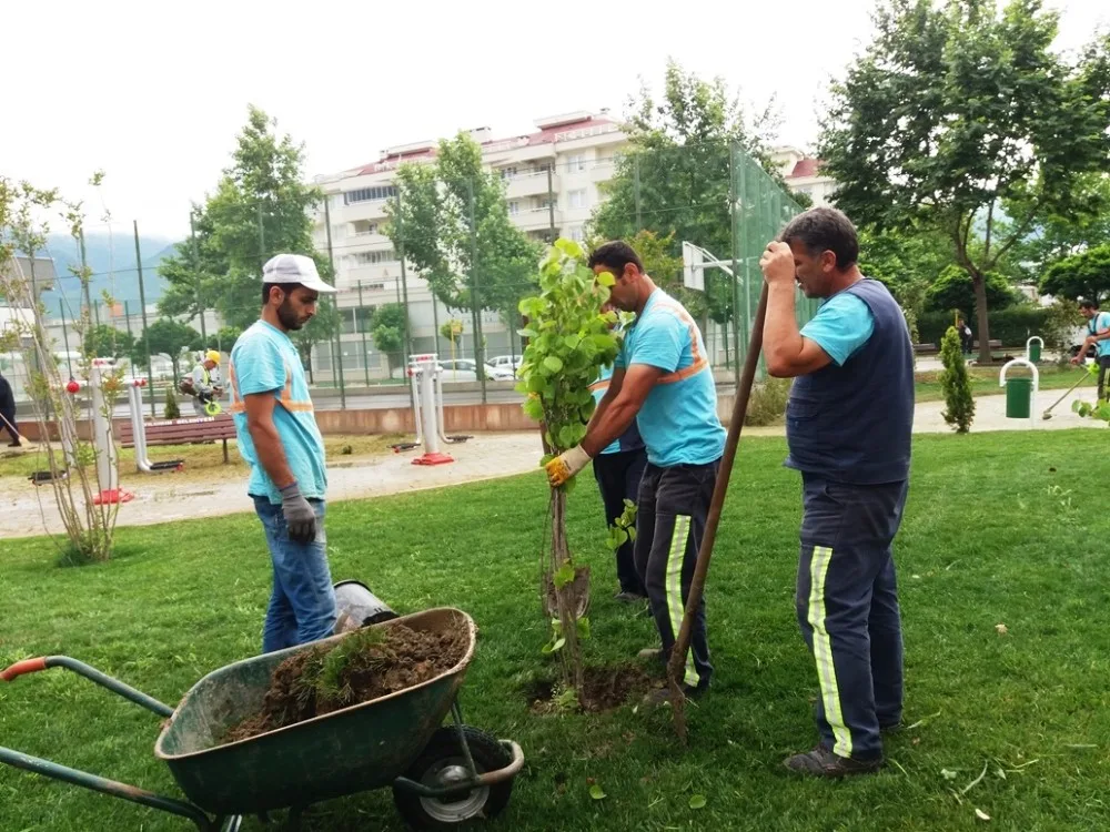 Yıldırım Parklarını Mevsimlik Çiçekler Süslüyor