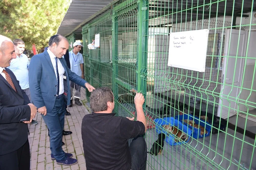 Yıldırımda Can Dostları Sahipsiz Değil