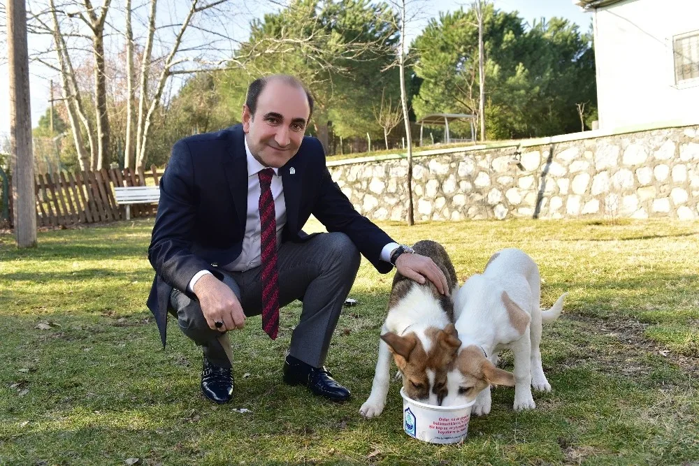 Yıldırımda Sokak Hayvanlarına Bir Kap Mutluluk