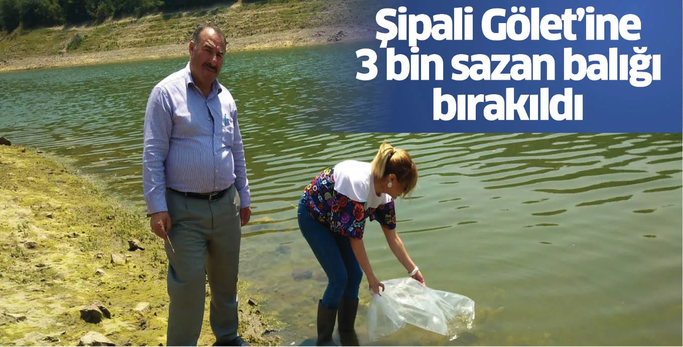 Şipali Gölet’ine 3 bin sazan balığı bırakıldı