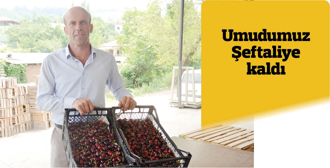 Umudumuz Şeftaliye kaldı