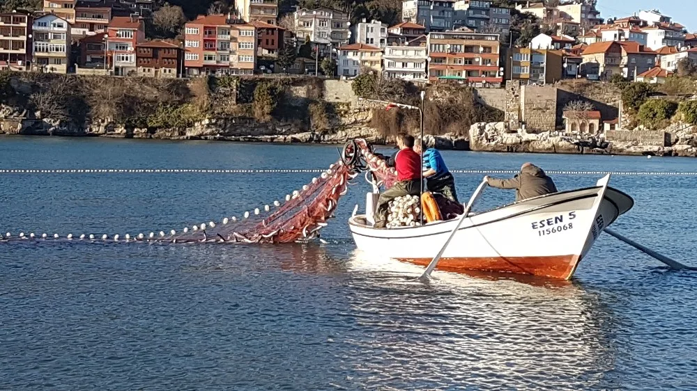Yunustandan Kaçan Kefaller, Amasralı Balıkçıları Sevindirdi
