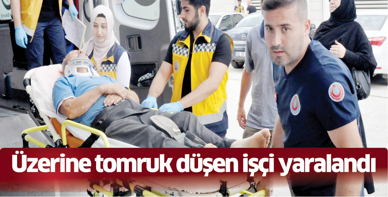 Üzerine tomruk düşen işçi yaralandı